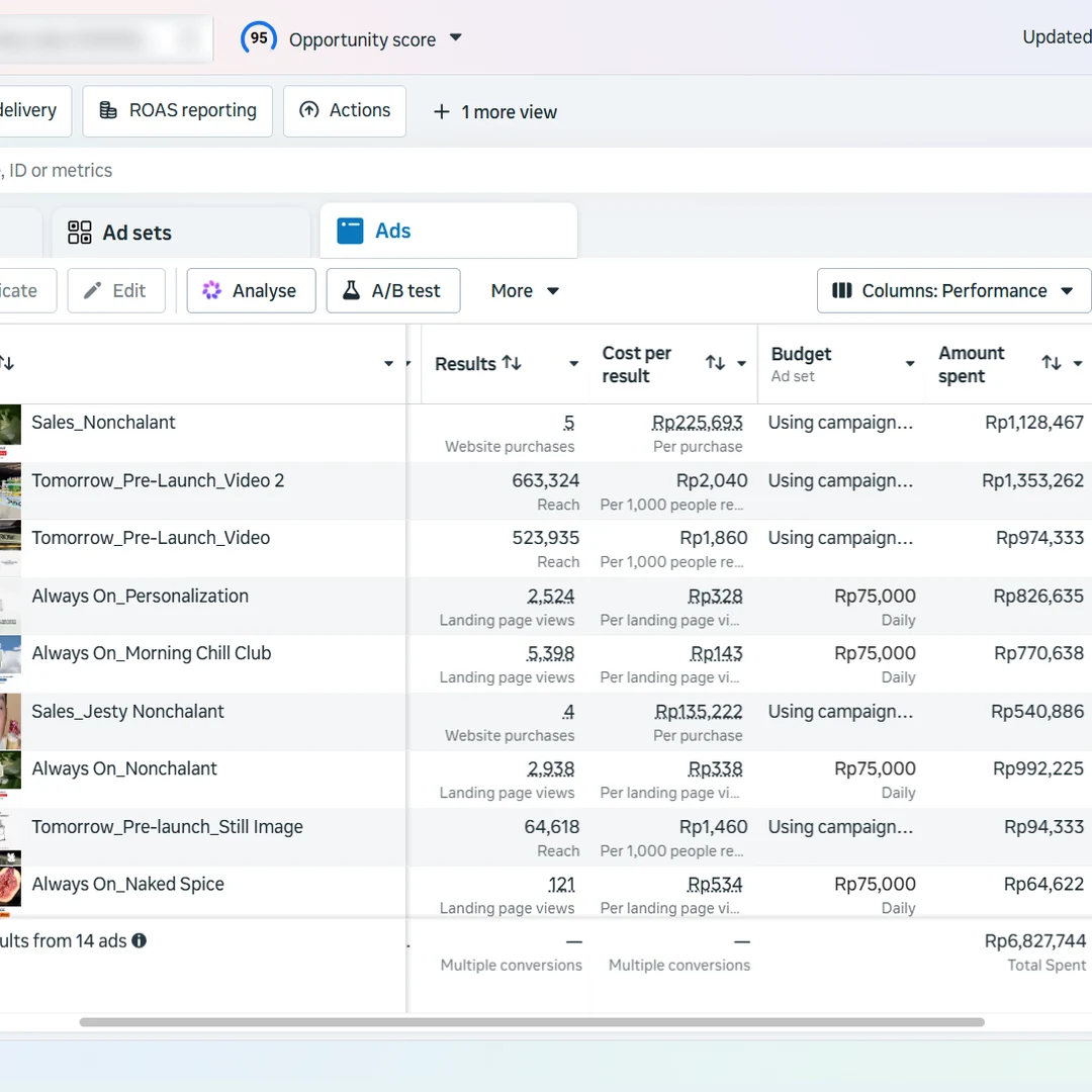 Meta Ads portfolio preview